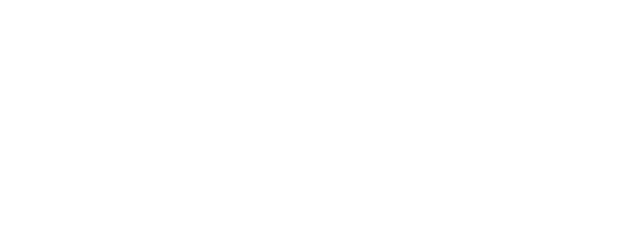 Nokta İşitme Cihazları